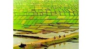 Chế độ sở hữu toàn dân và vấn đề sở hữu đất đai