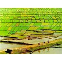 Chế độ sở hữu toàn dân và vấn đề sở hữu đất đai