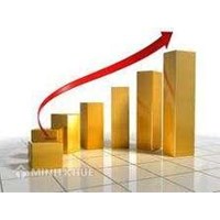 Tư vấn thành lập doanh nghiệp (Công ty Cổ phần, TNHH...)
