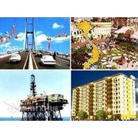 Vấn đề đại diện vốn nhà nước