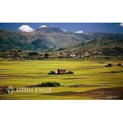 Những người nào được coi là người sử dụng đất ?