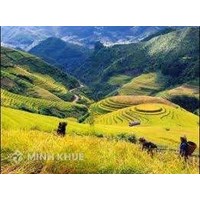 Bốn vấn đề cấp bách về nông thôn