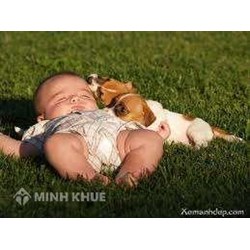 Nhiệm vụ, quyền hạn của Bộ Ngoại giao trong quản lý nhà nước về hộ tịch như thế nào?