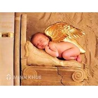 Điều chỉnh nội dung trong sổ hộ tịch và các giấy tờ hộ tịch khác ?