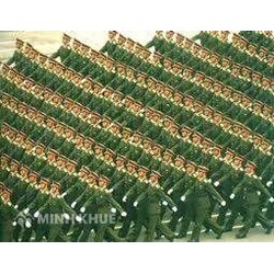 Ban hành quy định về bảo vệ rừng ?