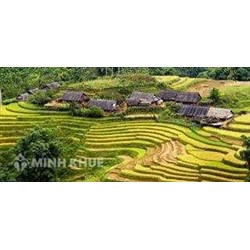 Đề cương giới thiệu luật du lịch năm 2005