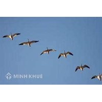 Vốn xã hội: Gây vốn từ đâu?