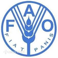 Tổ chức FAO tại Việt Nam