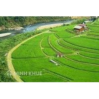 Thành tâm và bình đẳng trong đối thoại