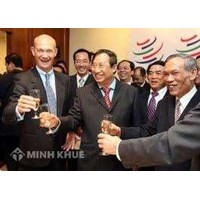 Cầu tiến hay cầu toàn
