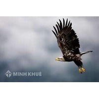 Khi nhà đầu tư đổi hộ chiếu, thay đổi địa chỉ thì có phải làm thủ tục đối Giấy chứng nhận đầu tư hay không?
