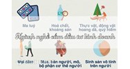 Căn cứ pháp lý để xác định lĩnh vực cấm đầu tư và ngành, nghề cấm kinh doanh?