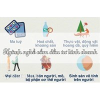 Căn cứ pháp lý để xác định lĩnh vực cấm đầu tư và ngành, nghề cấm kinh doanh?