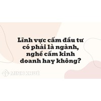 Lĩnh vực cấm đầu tư có phải là ngành, nghề cấm kinh doanh hay không?