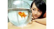 Lý trí trên ngai vàng sáng tạo