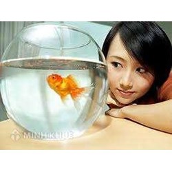 Lý trí trên ngai vàng sáng tạo