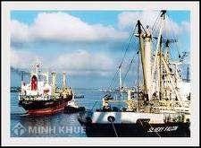 Nội dung cơ bản của Luật Thuế bảo vệ môi trường
