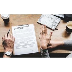 Mẫu hợp đồng hợp tác góp vốn đầu tư trồng rừng 