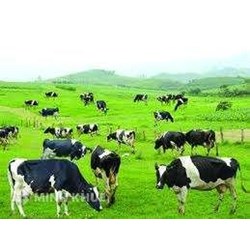 Qui định về nhãn hàng hoá