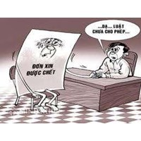 Một bệnh nhân xin được chết