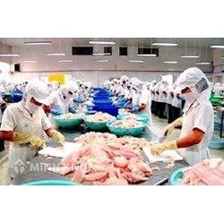 Xử lý vi phạm hành chính trong lĩnh vực thủy sản