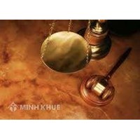 Điều lệ doanh nghiệp liên doanh