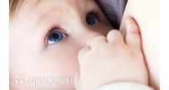 Mẫu giấy thỏa thuận về việc cho trẻ em làm con nuôi mới nhất