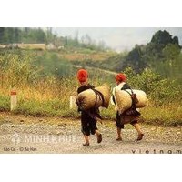 Bảo vệ quyền của người dân tộc thiểu số và người tàn tật theo quy định của pháp luật tố tụng hình sự, thực tiễn áp dụng và những vấn đề vướng mắc