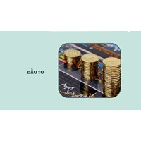 Những trường hợp ngừng hoạt động của dự án đầu tư