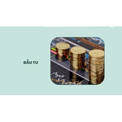 Những trường hợp ngừng hoạt động của dự án đầu tư