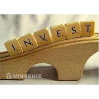 Chấm dứt hoạt động của Văn phòng đại diện, Chi nhánh công ty nước ngoài ở Việt Nam ?