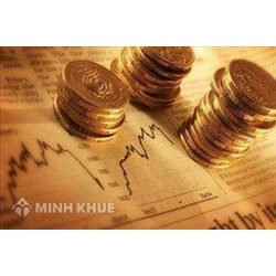 Quotation on Investment Consulting Service