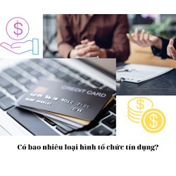 Tổ chức tín dụng là gì? Có bao nhiêu loại hình tổ chức tín dụng?