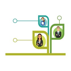 Cơ cấu tổ chức quản lý của công ty trách nhiệm hữu hạn một thành viên là tổ chức
