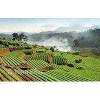 Đại hội thành viên của hợp tác xã được tổ chức như thế nào ? Điều kiện trở thành thành viên hợp tác xã là gì ?