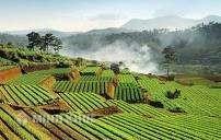 Đại hội thành viên của hợp tác xã được tổ chức như thế nào ? Điều kiện trở thành thành viên hợp tác xã là gì ?