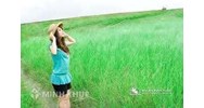 Đất xây dựng các công trình công cộng có hành lang bảo vệ an toàn được quy định như thế nào theo Luật đất đai?