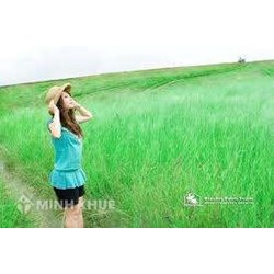 Đất xây dựng các công trình công cộng có hành lang bảo vệ an toàn được quy định như thế nào theo Luật đất đai?