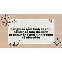Hàng hoá cấm kinh doanh, hàng hoá hạn chế kinh doanh, hàng hóa kinh doanh có điều kiện ?
