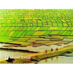 Hạn mức giao đất nông nghiệp theo quy định mới nhất Luật đất đai ?