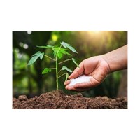 Các trường hợp bị huỷ bỏ hiệu lực văn bằng bảo hộ giống cây trồng