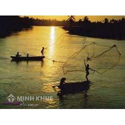 Liên minh hợp tác xã là gì? Quy định pháp luật về hợp tác xã