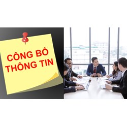Quy trình công bố thông tin đăng ký kinh doanh cho doanh nghiệp mới thành lập