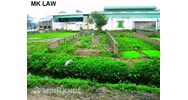 Hỏi đáp pháp luật đất đai: Hướng dẫn nhập hai mảnh đất thành một ?