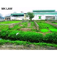 Hỏi đáp pháp luật đất đai: Hướng dẫn nhập hai mảnh đất thành một ?