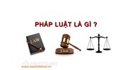 Tại sao chủ thể vi phạm pháp luật phải chịu trách nhiệm pháp lý?