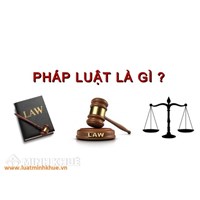 Tại sao chủ thể vi phạm pháp luật phải chịu trách nhiệm pháp lý?