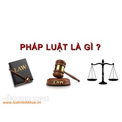 Tại sao chủ thể vi phạm pháp luật phải chịu trách nhiệm pháp lý?