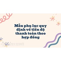 Mẫu phụ lục quy định về tiến độ thanh toán theo hợp đồng