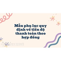 Mẫu phụ lục quy định về tiến độ thanh toán theo hợp đồng